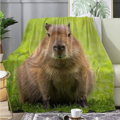 Campingdecke Grüner Capybara Sofa Kuscheldecke 150x200cm Kleine Fleecedecke FüR Couch Weich Und Warm, Wohndecke Flauschig Als Sofadecke von DAZIBY