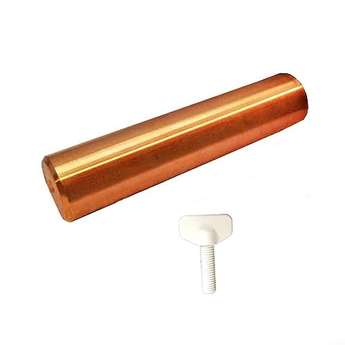 DAZZLEEX Solar-Kupferanode Kupfer Ersatz für Schwimmbad Ionisator Luftreiniger Reiniger reinigt und reinigt Ihren Pool (160 g) von DAZZLEEX