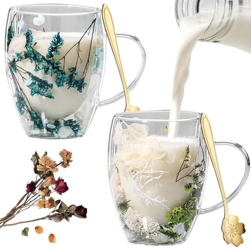 DAZZTIME Doppelwandige Gläser,2 Stück 350ml Blumen Doppelschicht Glasbecher,Doppelwandige Kaffeegläser,Thermogläser Doppelwandig,Trockenblumen-Doppelglas,für Tee,Eis,Eistee,Iced Americano von DAZZTIME