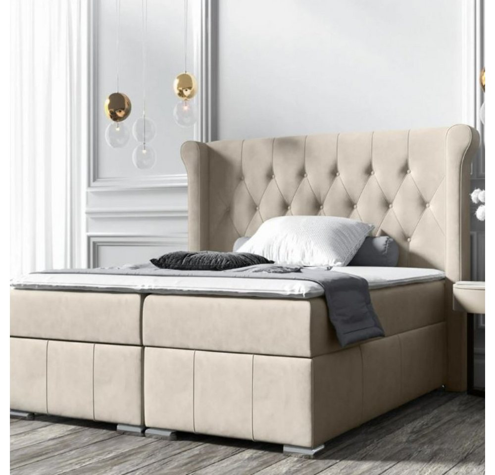 DB-Möbel Bett Boxspringbett GISELE - Doppelbett mit Bettkasten und Samtbezug von DB-Möbel