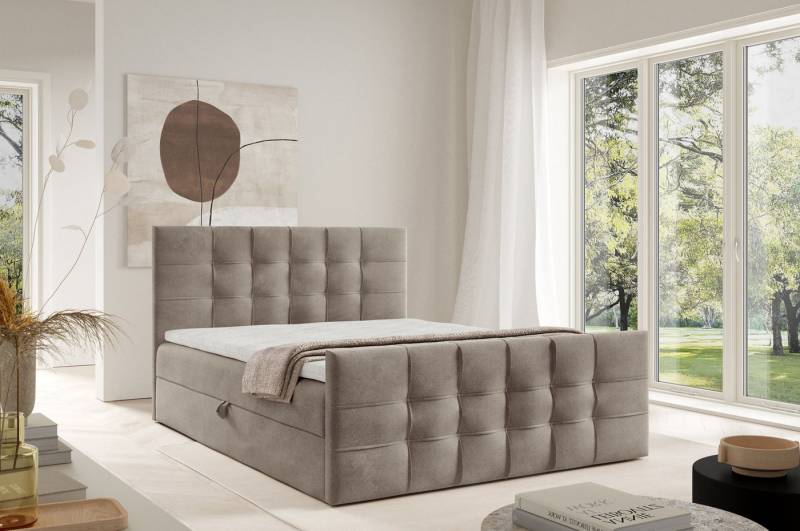 DB-Möbel Boxspringbett Boxspringbett TOP-ONE-elegance, modernes Design Möbel-vom Hersteller DB-Möbel Boxspringbett Boxspringbett TOP-ONE-elegance, modernes Design Möbel-vom Hersteller von DB-Möbel