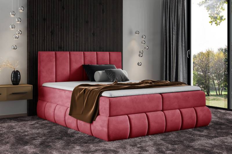 DB-Möbel Boxspringbett Kontinentalbett VANESSA modernes Design Möbel-vom Hersteller von DB-Möbel