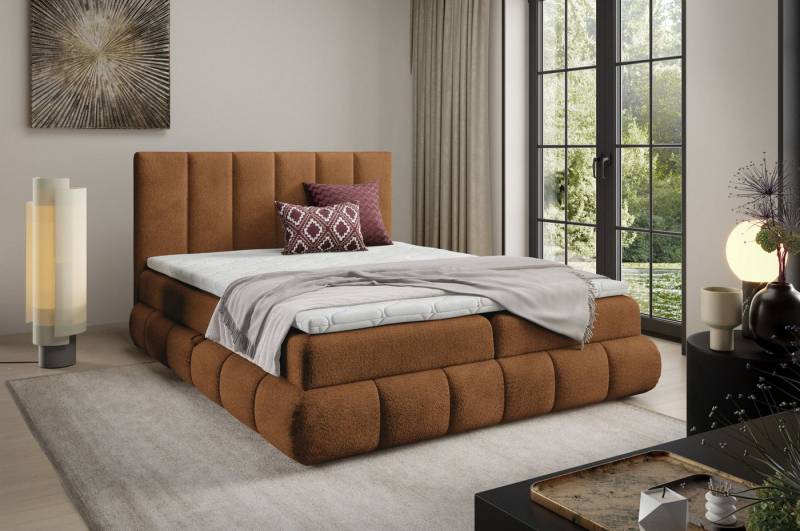DB-Möbel Boxspringbett Kontinentalbett VANESSA modernes Design Möbel-vom Hersteller von DB-Möbel