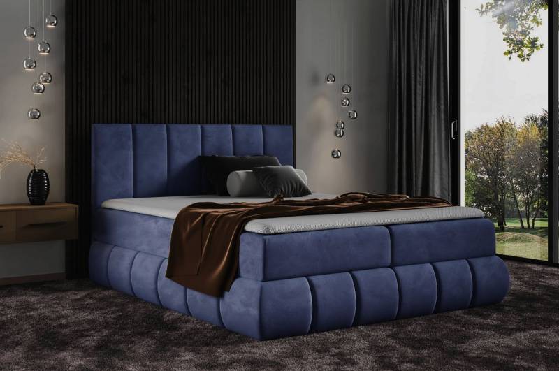 DB-Möbel Boxspringbett Kontinentalbett VANESSA modernes Design Möbel-vom Hersteller von DB-Möbel
