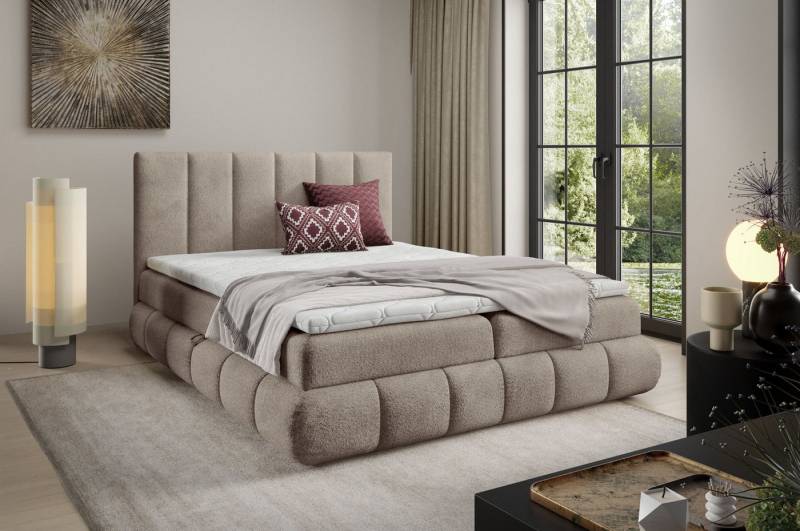DB-Möbel Boxspringbett Kontinentalbett VANESSA modernes Design Möbel-vom Hersteller von DB-Möbel
