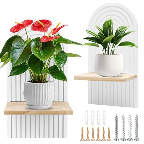 Wandregal Holz Boho Wanddeko, 2 Stück Boho Holz Regenbogen Wandregale, HöLzerne Wanddekoration mit Schrauben, Schweberegal Wandregal, Kleine Wand Pflanzregal, für Balkon, Badezimme, Büro (Weiß) von DBAATTZ
