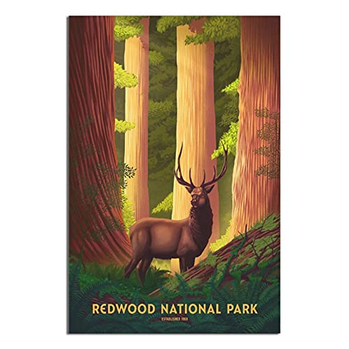DBKGHIEDHG Metall-Blechschild Redwood National Park Elch Vintage Reise Blechschild Vintage rustikale Dekoration Höhle Café Bar Schlafzimmer Zuhause Wanddekoration nostalgisches Blechschild 20 x 30 cm von DBKGHIEDHG