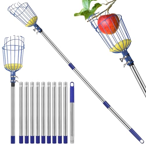 DBREAKS Apfelpflücker 4.2M Obstpflücker mit Teleskopstiel, Apfelpflücker mit Edelstahl Teleskopstiel, Pflücker, Obstpflücker, Kirschenpflücker Sichere Kommissionierung, mit Schaumstoff-Pads DBREAKS Apfelpflücker 4.2M Obstpflücker mit Teleskopstiel, Apfelpflücker mit Edelstahl Teleskopstiel, Pflücker, Obstpflücker, Kirschenpflücker Sichere Kommissionierung, mit Schaumstoff-Pads von DBREAKS
