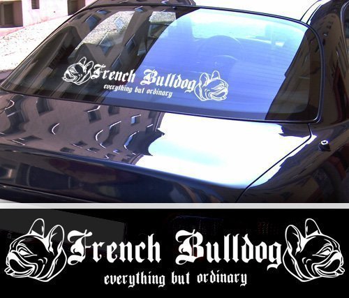 DBSPNCR French Bulldog XXL Aufkleber - Französische Bulldogge - schwarz oder weiß NEU (schwarz außenklebend) von DUB SPENCER