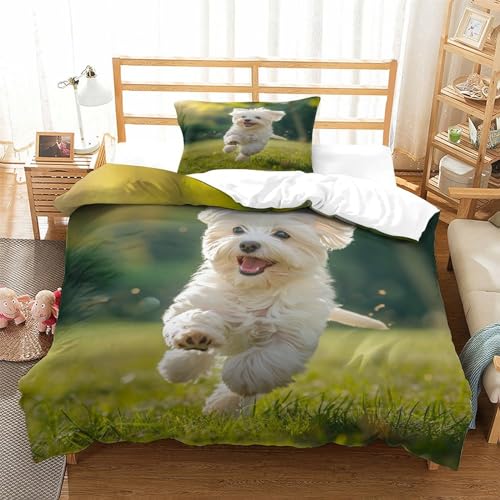 DCABEIOOE Malteser Hund 3D Print Betten Motiv Bettwäsche Set Bettwäsche Set Bettbezug Und Kissenbezug Mit Reißverschluss Betten Set Für Kinder RaumdekoRatteion Reißverschluss Single（135x200cm） von DCABEIOOE
