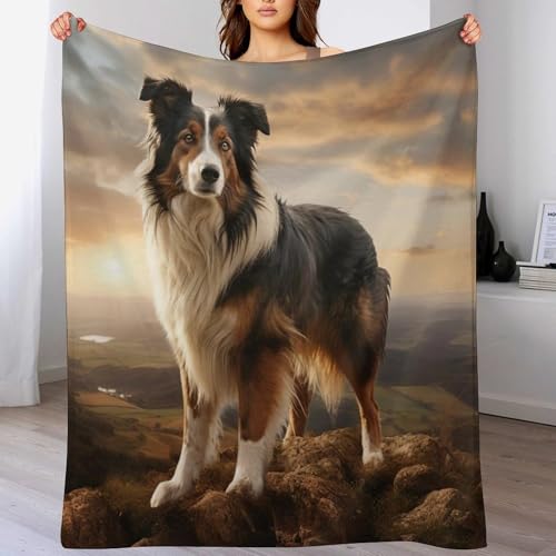 Border Collie Decke Kuscheldecke Mit 3D Muster Fleece Warm & Weich Flauschige Flannel Decken, Vier Jahreszeiten Bett Sofadecke 150×200cm Border Collie Decke Kuscheldecke Mit 3D Muster Fleece Warm & Weich Flauschige Flannel Decken, Vier Jahreszeiten Bett Sofadecke 150×200cm von DCCCY