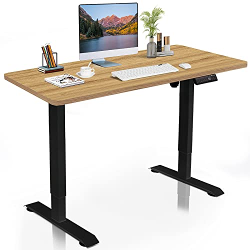 DCHOUSE Schreibtisch Höhenverstellbar Elektrisch 120x60 cm, Höhenverstellbarer Schreibtisch Gestell Ergonomischer Tisch Computertisch Höhenverstellbar Stehschreibtisch Height Adjustable Standing Desk von DCHOUSE