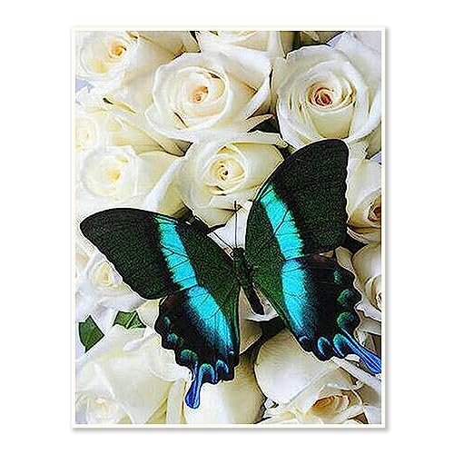 30x40CM||DCIDBE DIY Runde Diamond Painting 5D Blumen - Leinwand Diamant Weiße Rosen - Handwerk Dekoration Wand zu Hause -Geschenk Frau/Schwester/Hochzeit/Geburtstag - Grüner Schmetterling von DCIDBEI