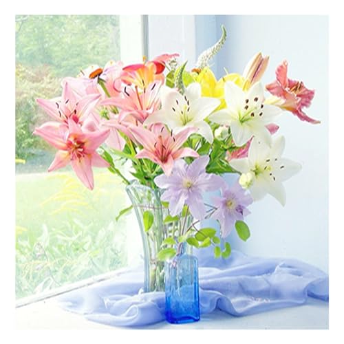 DCIDBEI 30 x 30 cm 5D Diamond Painting Lilie || Diamant Stickerei Landschaft Frühling || DIY Perle Bild Diamant Runde Blume || Handwerk Kunst Erwachsene || Dekoration Wand zu Hause Wohnzimmer DCIDBEI 30 x 30 cm 5D Diamond Painting Lilie || Diamant Stickerei Landschaft Frühling || DIY Perle Bild Diamant Runde Blume || Handwerk Kunst Erwachsene || Dekoration Wand zu Hause Wohnzimmer von DCIDBEI