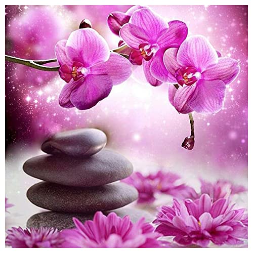 DCIDBEI 30 x 30 cm Rosa Phalaenopsis und Steine Diamond Painting Rund, 5D Diamant Malerei Set für Kinder Blumen Zen Freizeit Kreative DIY Diamond Art für Erwachsene Party Home Decor von DCIDBEI