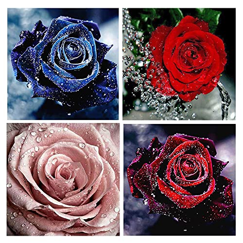 DCIDBEI 30x30CM DIY 5D Diamant Maler-Set Rund,Diamant malerei Blumen,Diamond Painting Liebe,vorgedruckt für Wohnzimmer Schlafzimmer Dekoration Geschenk zum Valentinstag,Rosen und Tropfen von DCIDBEI