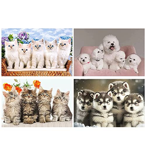 DCIDBEI 4 Pack Diamond Painting Tiere 40x30 cm Diamant Painting Bilder Hund Pudel Diamond Painting Hundewelpen Diamond Painting Malteser Hund Hiromi Diamond Painting Katzen Malen nach Zahlen Katze von DCIDBEI