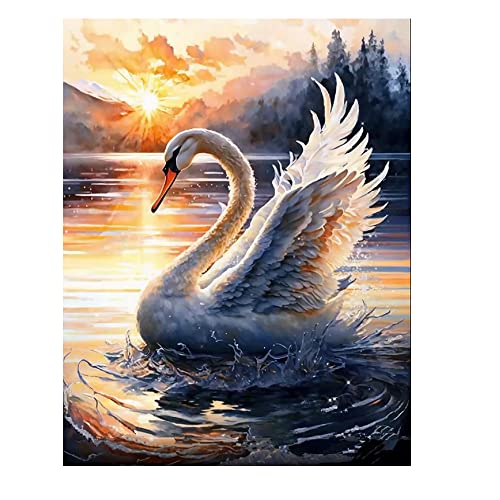 DCIDBEI Diamond Painting Eckige Steine 40x50 cm Square Diamond Painting Schwan Erwachsene Diamant Painting Bilder Tiere Diamond Painting Landschaften und Natur 5D Diamant Painting Sonnenuntergang von DCIDBEI