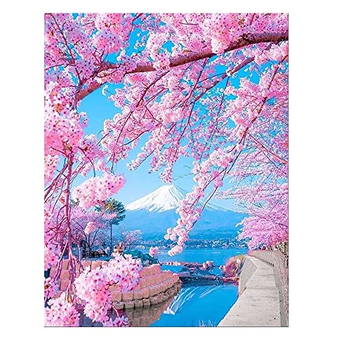 DCIDBEI Diamond Painting Landschaften Natur 40x50cm Diamant Painting Landschaft Pink Diamond Painting Japanische Kirsche Cicegi Diamond Painting Kirschblüte Diamond Painting Japan Landschaft von DCIDBEI