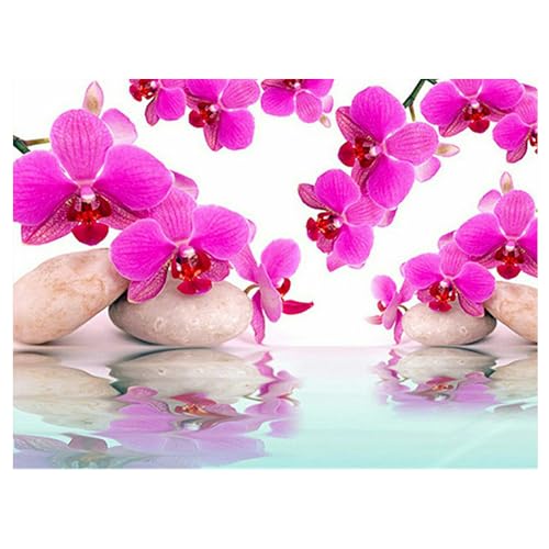 DCIDBEI Diamond Painting Orchidee Lila 50x40 cm diamant painting bilder Blumen Diamond Painting Orchideen Runde Steine Malen nach Zahlen Phalaenopsis Diamant Malerei Landschaft Zen DCIDBEI Diamond Painting Orchidee Lila 50x40 cm diamant painting bilder Blumen Diamond Painting Orchideen Runde Steine Malen nach Zahlen Phalaenopsis Diamant Malerei Landschaft Zen von DCIDBEI