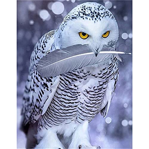 DCIDBEI Diamond Painting Schneeeule 30x40cm Schneeeule Vollmond Diamond Painting Diamant Painting Bilder Tiere Sticken für Anfänger Diamond Painting Kinder Mädchen Stickerei Kreuzstich Set Kinder von DCIDBEI