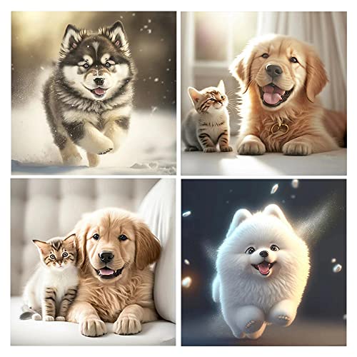 DCIDBEI Diamond Painting Tiere 4er Set 30x30 cm Diamond Painting Hund Katze Diamant Malerei Hund Katze Malen nach Zahlen Hund und Katze Diamond Painting Hunde Husky Bilder Hundewelpen Erwachsene von DCIDBEI