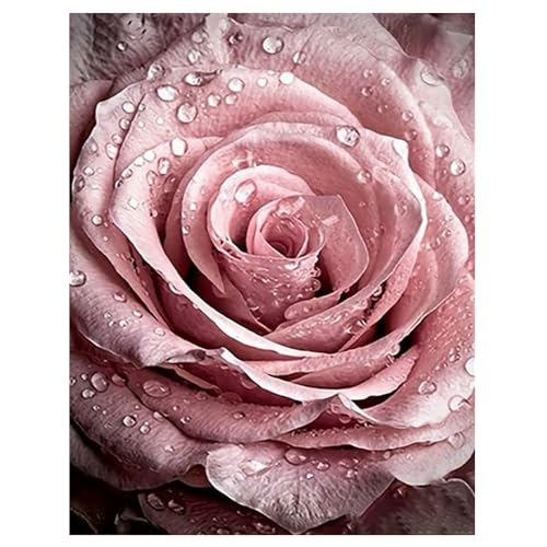DCIDBEI Groß und Klar Diamond Painting Rose Tautropfen 40x50cm Diamant Painting Bilder Erwachsene Rosen mit Tautropfen Malen nach Zahlen Erste Liebe Dankbarkeit Eleganz Reine Liebe Puzzle Pinke Blumen von DCIDBEI