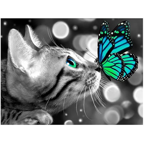 DIY Diamant Painting Bilder Groß Katze Schmetterling 50x40cm Diamond Painting Anfänger Square Quadratische Steine Diamond Painting Erwachsene kinder Diamant Painting Bilder Kreuzstich Home Decor von DCIDBEI