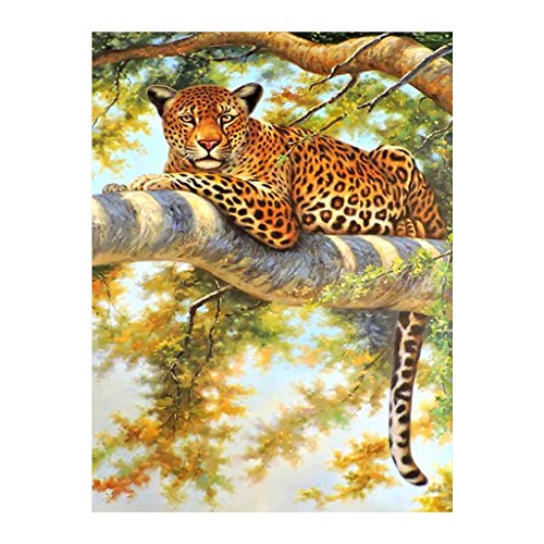 Quadratische Diamanten Gemälde Voll Set Leopard auf dem Baum 5D Square Diamonds Stickerei Strass Diamant Bilder Malen nach Zahlen Kristallkunst Set Mosaik Geschenk Wandkunst Leinwand 30 x 40 cm von DCIDBEI