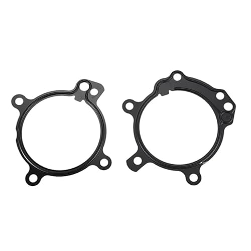 1 Set Dual Vanos O-Ring Dichtung Reparatur Kit & 2 Pcs Vanos Rassel Langlebig Reparatur Kit 6 Zylinder Motoren von DCJJLWIG