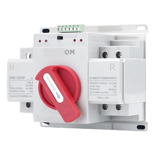Dual power ATS (CB) 2P/4P 63A Dual Power Automatic Transfer Switch AC230V 50/60Hz /Manual Switching Circuit Breakers(2p,100A) von DCJJLWIG