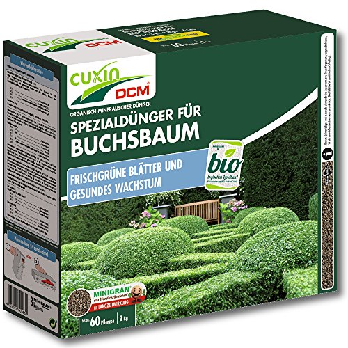 Buchsbaum Gewicht 3.0 kg von DCM