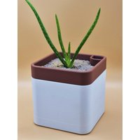 Pflanzentopf | Blumentopf Selbstbewässernder Planter Für Zimmerpflanzen Pflanzentopf | Blumentopf Selbstbewässernder Planter Für Zimmerpflanzen von DCPrintWorks