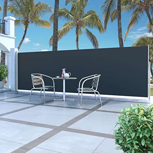 DCRAF Möbelset Seitenmarkise versenkbar 160x500 cm schwarz von DCRAF