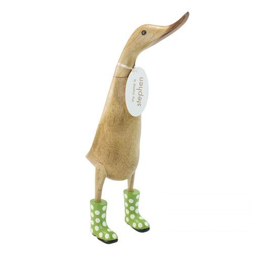 DCUK Natürliche Welly-Ente, gepunktet, Grün, grün DCUK Natürliche Welly-Ente, gepunktet, Grün, grün von DCUK