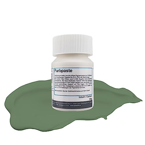 DD Composite Farbpaste 100g resedagrün RAL6011 Pigment hochkonzentriert für Kunstharze Epoxidharz Resin Polyesterharz Gießharz farbintensiv deckend von DD Composite