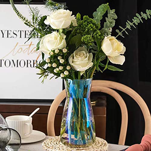Glasvase, Vasen für Blumen, farbige transparente Vase, 20 cm hoch von DDGAO