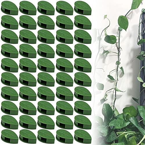 50 Stück Selbstklebend Pflanzenhalter, Kletterpflanzen Befestigung Wand, Pflanzen Verbinder Clip, Pflanzenclips Für Pflanzen Sicherung Unterstützt Einzupflanzen, Pflanzen Wand, Home Decoration von Bestevery