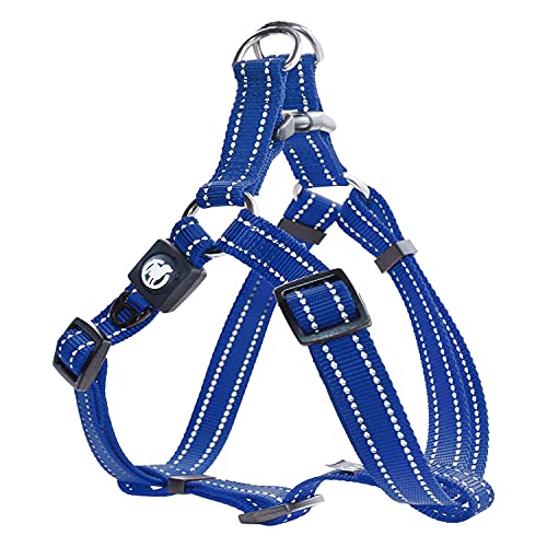 DDOXX Reflektierendes Nylon Step-In Hundegeschirr - Verstellbare Brust Welpengeschirr für alle Größen - XS (Blau) von DDOXX