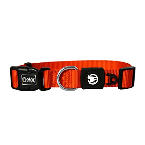 DDOXX Hundehalsband Nylon, verstellbar | viele Farben & Größen | für kleine & große Hunde | Halsband Hund Katze Welpe | Hunde-Halsbänder | Katzen-Halsband Welpen-Halsband klein | Orange, M von DDOXX