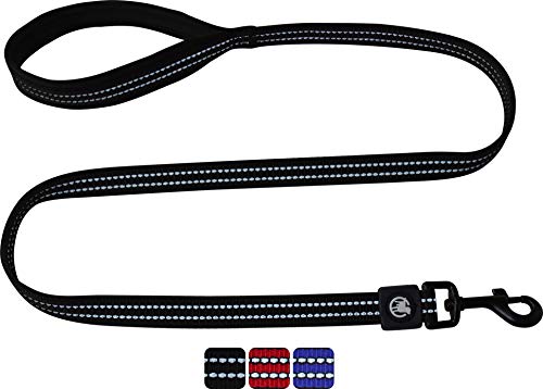 DDOXX Reflektierende Nylon Hundeleine - 120 cm, Training Führleine Hund mit gepolsterter Handschlaufe für alle Hundegrößen - M (Schwarz) von DDOXX