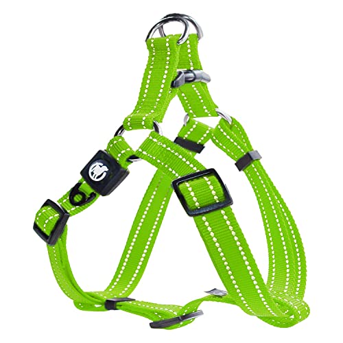 DDOXX Reflektierendes Nylon Step-In Sicherheit Hundegeschirr - Verstellbare Ausbruchsichere Brust Welpengeschirr, Hundesicherheitsgeschirr - XS - Grün DDOXX Reflektierendes Nylon Step-In Sicherheit Hundegeschirr - Verstellbare Ausbruchsichere Brust Welpengeschirr, Hundesicherheitsgeschirr - XS - Grün von DDOXX