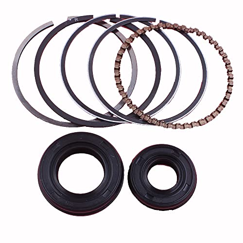 Kolbenring- und Kurbelwellen-Öldichtungssatz for 39 mm GX35 4-Takt-Rasenmäher – 35,8 CC kleine Benzinmotor-Ersatzteile, 1 Stück Kolbenring- und Kurbelwellen-Öldichtungssatz for 39 mm GX35 4-Takt-Rasenmäher – 35,8 CC kleine Benzinmotor-Ersatzteile, 1 Stück von DDSTTLK