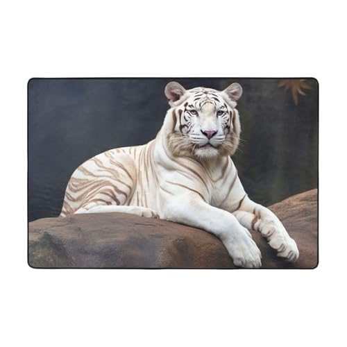 Albino Tiger sitzend auf Felsen, moderner Teppich, kurzer Plüsch, ultraweich, für Eingangsbereich, waschbar, rutschfeste Fußmatten, Überwurf, Teppiche für Wohnzimmer, Schlafzimmer, Büro, Wohnheim Albino Tiger sitzend auf Felsen, moderner Teppich, kurzer Plüsch, ultraweich, für Eingangsbereich, waschbar, rutschfeste Fußmatten, Überwurf, Teppiche für Wohnzimmer, Schlafzimmer, Büro, Wohnheim von DDTKLSNV