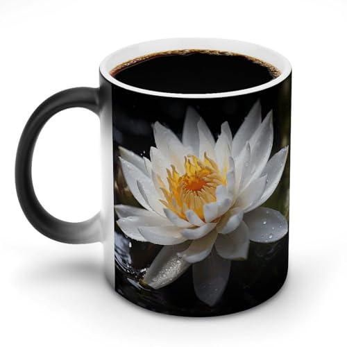 DDTKLSNV Keramik-Kaffeetasse mit Blumenmotiv, hitzeempfindlich, magische Kaffeetasse, Farbwechsel, Kaffeetasse für Damen und Herren, 325 ml DDTKLSNV Keramik-Kaffeetasse mit Blumenmotiv, hitzeempfindlich, magische Kaffeetasse, Farbwechsel, Kaffeetasse für Damen und Herren, 325 ml von DDTKLSNV