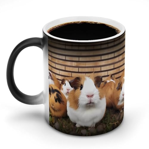 DDTKLSNV Keramik-Kaffeetasse mit Meerschweinchen, 325 ml, hitzeempfindlich, magische Kaffeetasse, Farbwechsel, Kaffeetasse, Teetasse für Damen und Herren DDTKLSNV Keramik-Kaffeetasse mit Meerschweinchen, 325 ml, hitzeempfindlich, magische Kaffeetasse, Farbwechsel, Kaffeetasse, Teetasse für Damen und Herren von DDTKLSNV