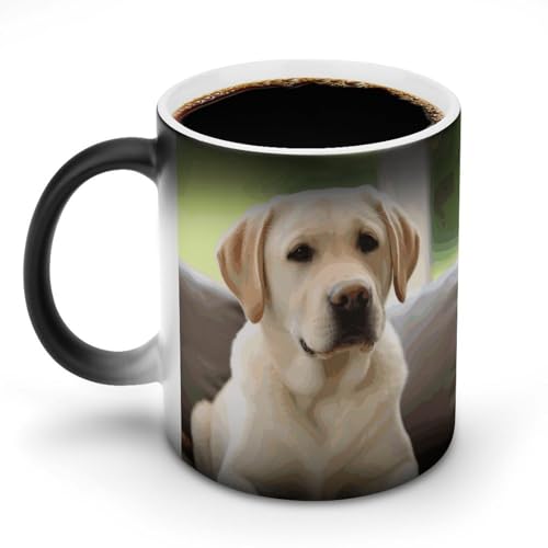 DDTKLSNV Keramik-Kaffeetasse mit niedlichem Labrador-Motiv, 325 ml, hitzeempfindlich, magische Kaffeetasse, Farbwechsel, Kaffeetasse, Teetasse für Damen und Herren DDTKLSNV Keramik-Kaffeetasse mit niedlichem Labrador-Motiv, 325 ml, hitzeempfindlich, magische Kaffeetasse, Farbwechsel, Kaffeetasse, Teetasse für Damen und Herren von DDTKLSNV