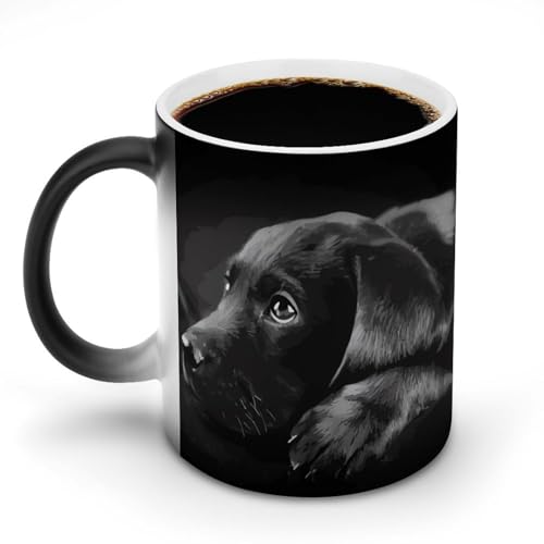 DDTKLSNV Keramik-Kaffeetasse mit schwarzem Labrador-Welpe, 325 ml, hitzeempfindlich, magische Kaffeetasse, Farbwechsel, Kaffeetasse, Teetasse für Damen und Herren DDTKLSNV Keramik-Kaffeetasse mit schwarzem Labrador-Welpe, 325 ml, hitzeempfindlich, magische Kaffeetasse, Farbwechsel, Kaffeetasse, Teetasse für Damen und Herren von DDTKLSNV