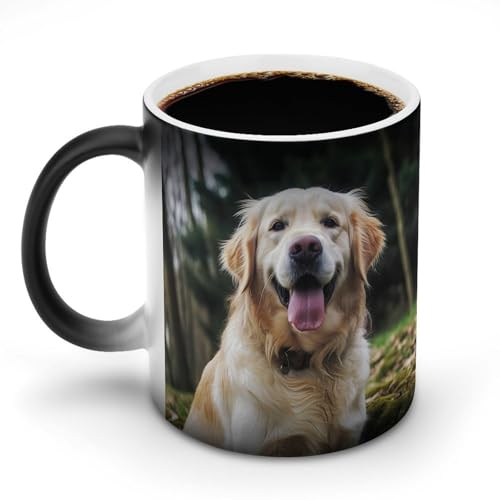 DDTKLSNV Lustige Keramik-Kaffeetasse, 325 ml, hitzeempfindlich, magische Kaffeetasse, Farbwechsel, Kaffeetasse, Teetasse für Damen und Herren von DDTKLSNV