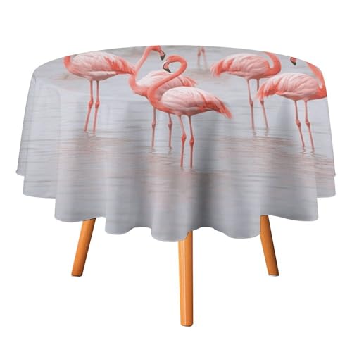 DDTKLSNV Runde Flamingo-Tischdecke, 152,4 x 152,4 cm, wasserdicht, knitterfrei, schmutzabweisend, waschbar, Tischdecke für Picknick, Party, Esszimmer, Heimdekoration von DDTKLSNV